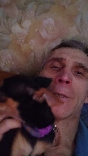 боня подлиза
