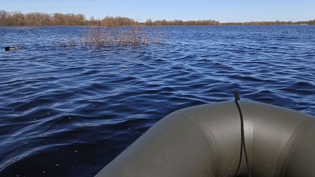 Казарка Охота весна 2025.mp4