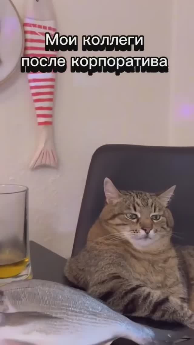ТВОИ КОЛЛЕГИ ПОСЛЕ КОРПАРАТИВА