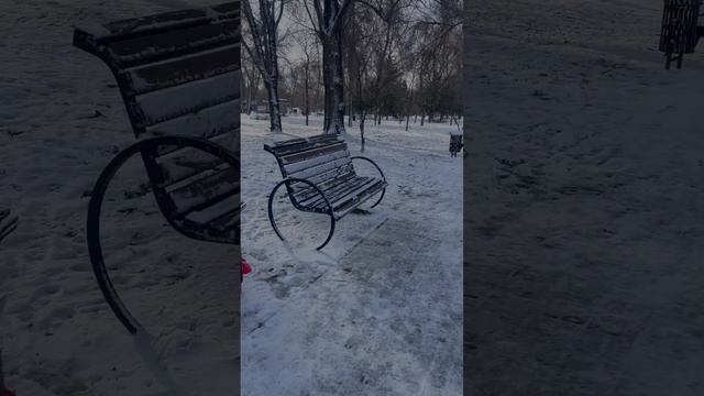 16 лютого 2025 г. Зима в Запоріжжі. Французький бульдог н