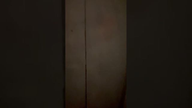1000000116.mp4