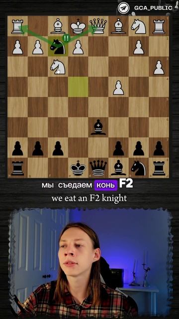 База шахматных ловушек! Гамбит Фаяровича.