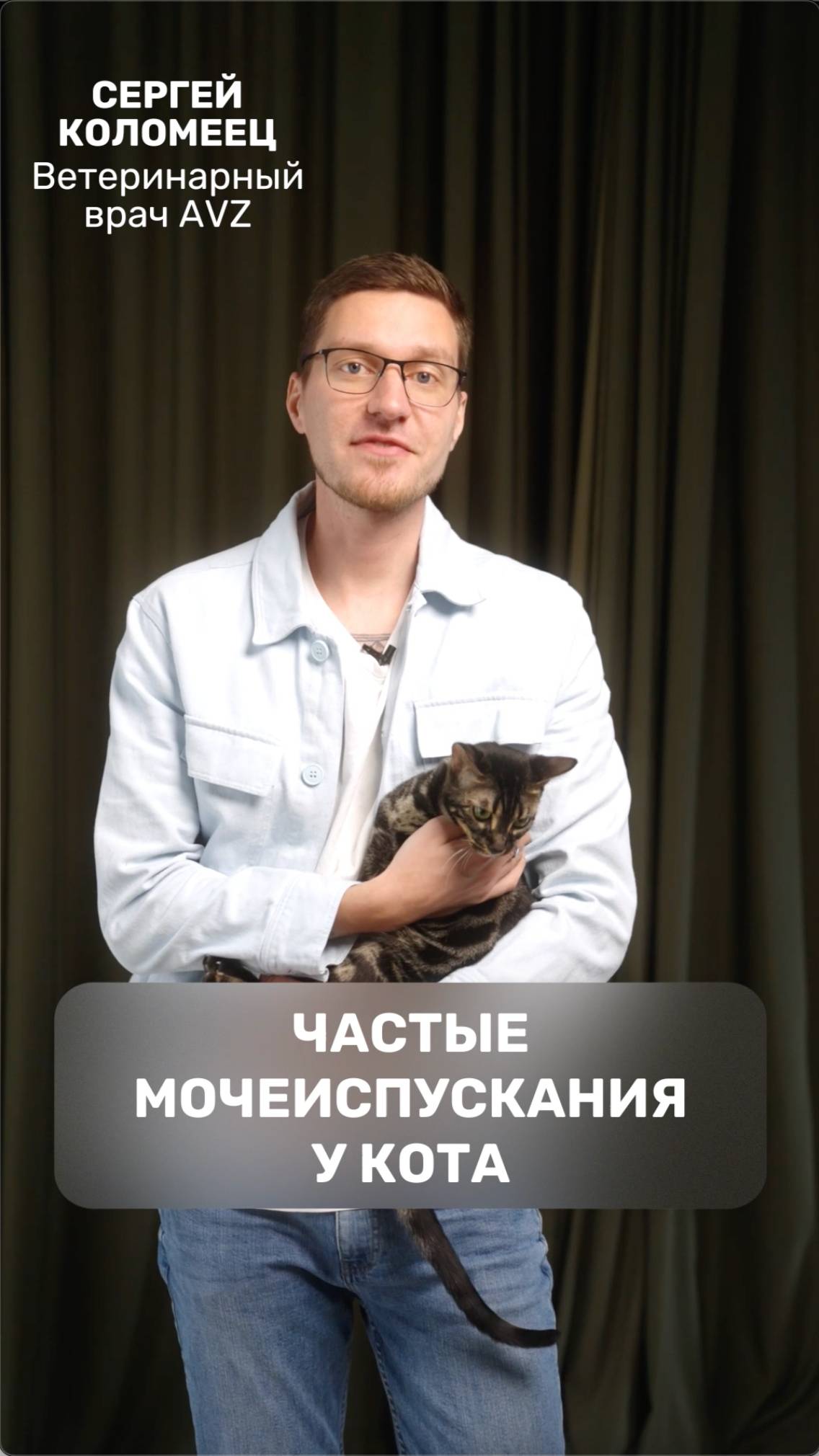 Частые мочеиспускания у кота