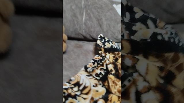 1000062090.mp4