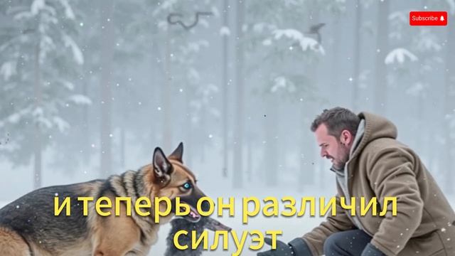 Мама овчарки умоляет спасти щенка… Дальше происходит