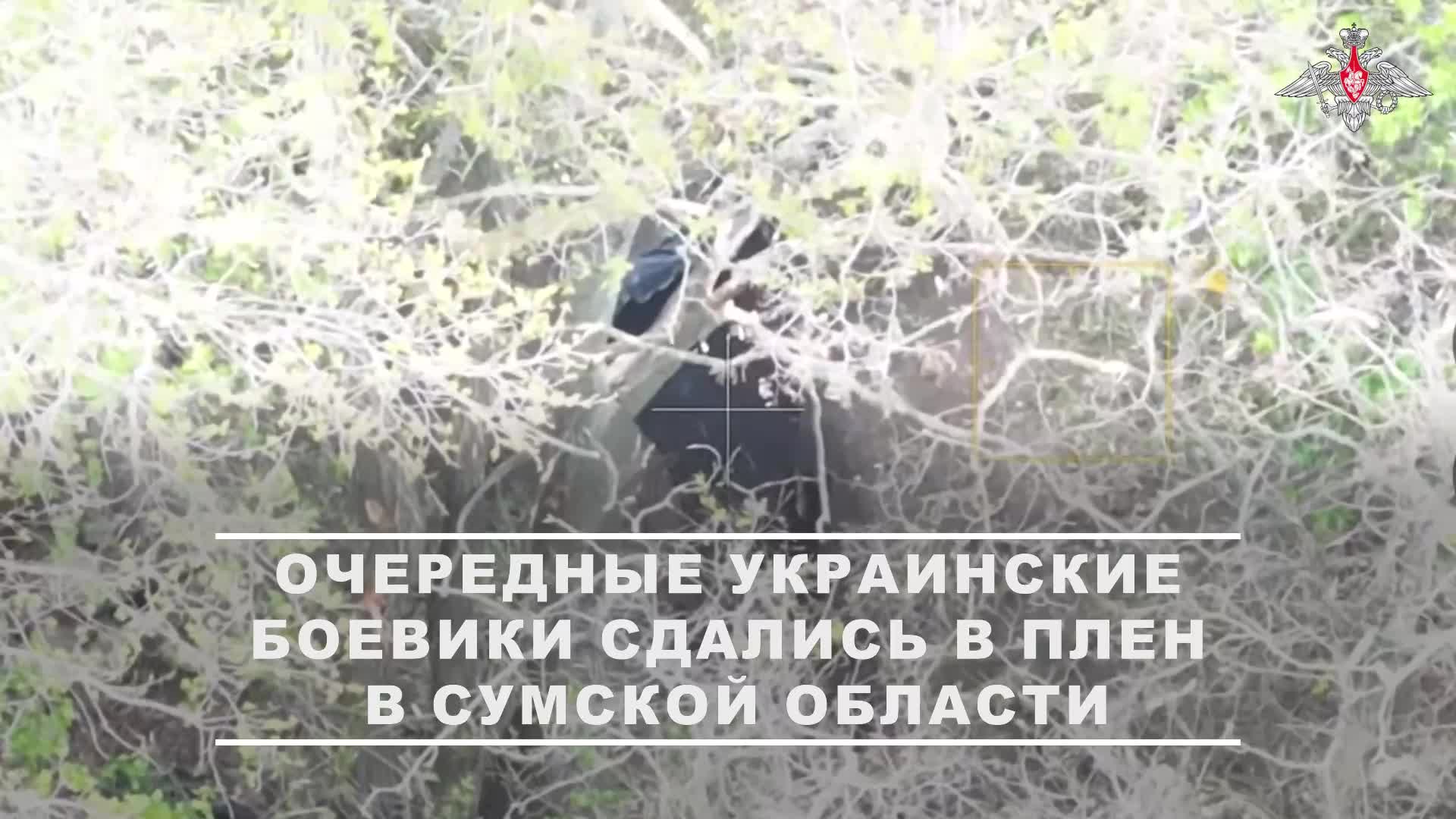 Военнослужащие мотострелкового полка группировки войск «Север» в ходе штурма захватили в плен чет...