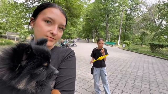 Щенячьи будни. Тренировка сусликов. Распаковка домашнего проектора и беспроводной мини клавиатуры