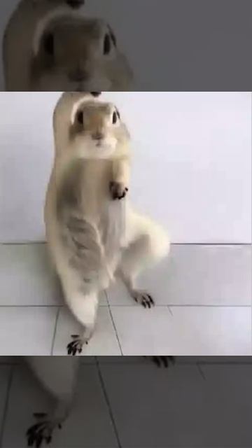 Отдыхаем