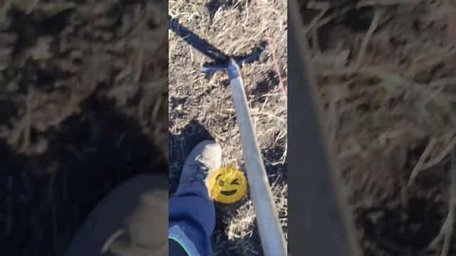Самый простой способ сажать картошку!