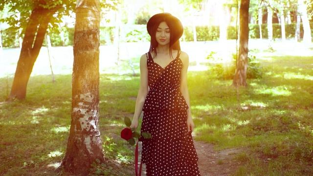 13333398_1920_1080_25fps