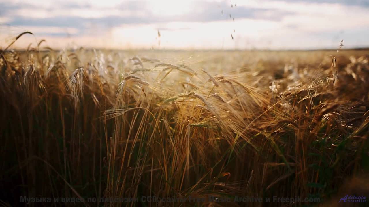 Здесь обитает НЕЧТО древнее. - Heavens Night -- Sahara Sky -- Escapism
