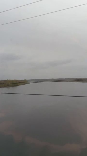 Вид из окна поезда