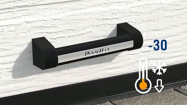 Ворота гаражные Doorhan RSD01, RSD02 в Донецке