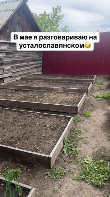 23-05-2025 в огороде