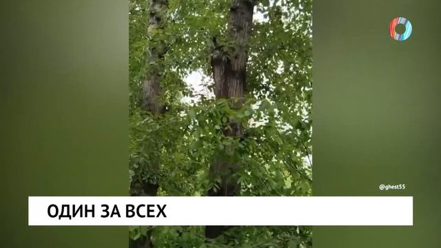 Один за всех