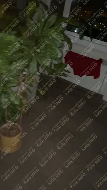Киев бомбят горшками с цветами.