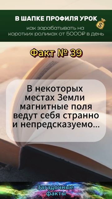факт (8)
