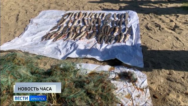 Еще девять браконьерских сетей достали из Байкала в Ольхонском районе