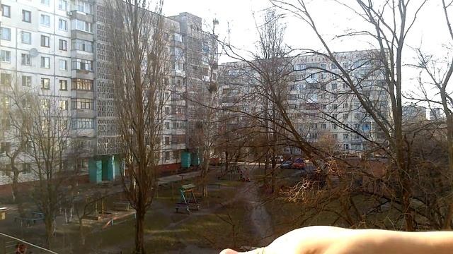 GopherVidКак сделать рогатку из бутылки