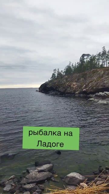 ловим плотву на Ладоге в карелии