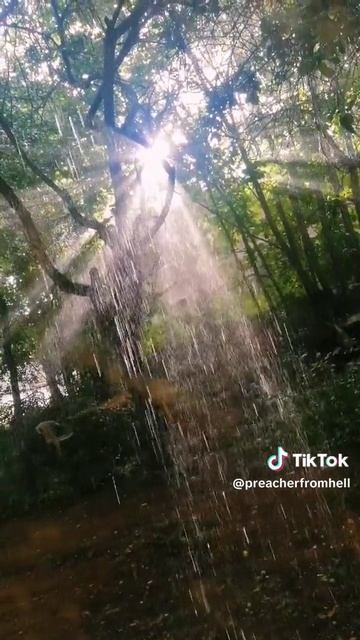 Пусть это останется здесь