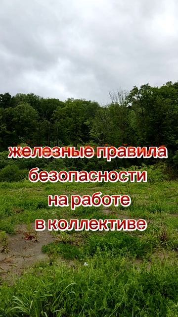 железные правила безопасности работы в коллективе
