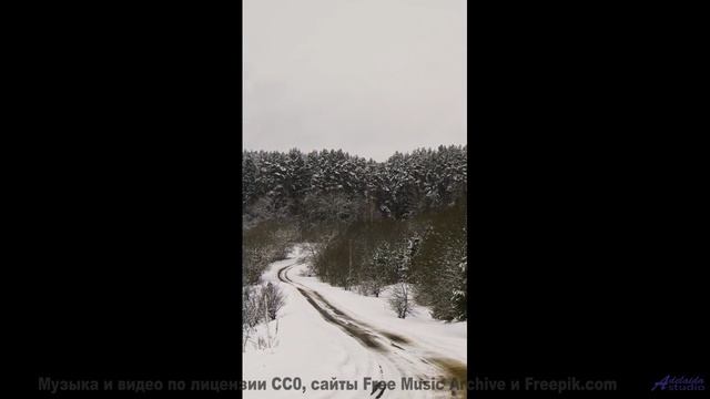 Голова кружится от сочетания звука и полей - Shastakovitch -- New Millennium String Band -- NMSB
