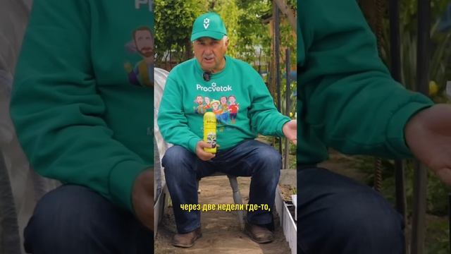 Клубника цветёт? Ягод будет гораздо больше, если сделать так! Чем подкормить и обработать клубнику