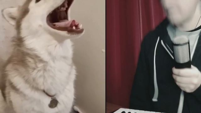 Хаски поёт как Витас (NikitaFry Remix)