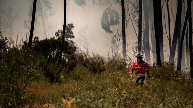 Полыхают деревни и тайга: лесной пожар в Забайкалье разгорелся с новой силой