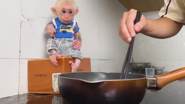 Обезьянка крошка БУКАШКА наигралась игрушками Помогает маме готовить спагетти Веселая история
