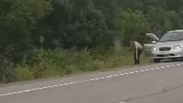 Угар. Медведь..