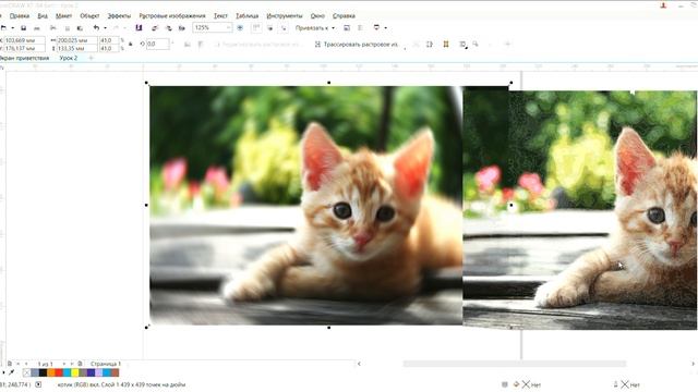 Урок 4. Фотореализм в векторе: Работа с растровыми изображениями и эффектами