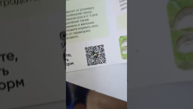 1000000065.mp4