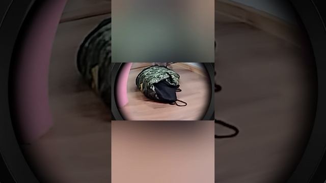 1000009677.mp4