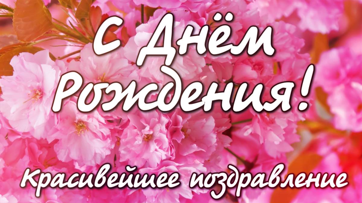 Шикарное Поздравление С Днем Рождения🎁НОВИНКА! ПЕСНЯ! Музыкальная видео открытка