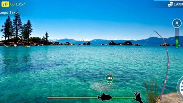 My Fishing World задание на пять золотых