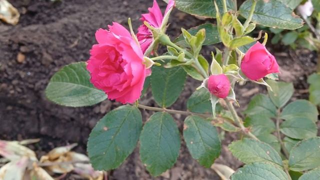 20240702_200956 (online-video-cutter.com)