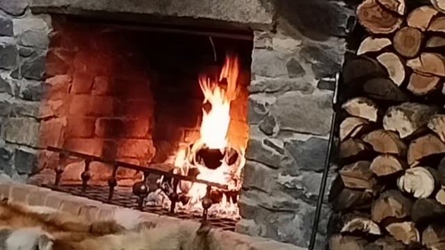 «Папочка, ты только не пей из своей чашки, я видела, как