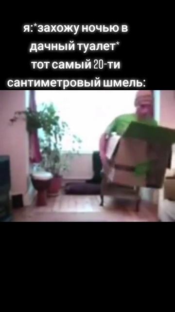Шмель в туалете