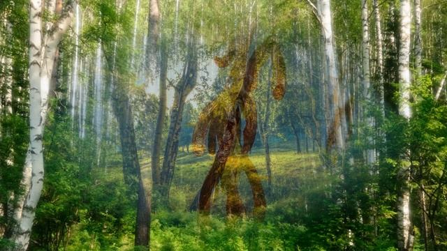 216.=Березовая роща=.Стихи - А. Зенцов, муз. и вокал-С. Стародубцев, монтаж - Валентина Зубкова.