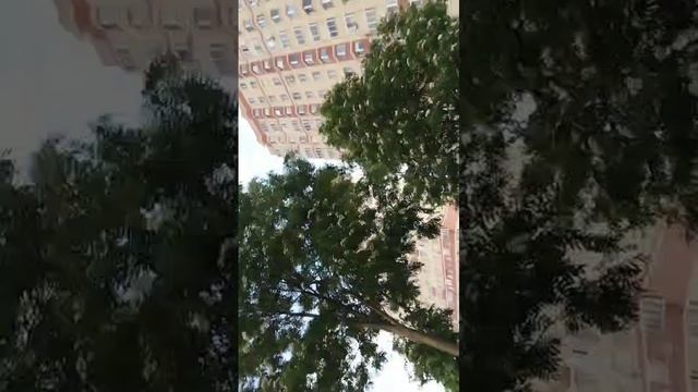 Побег от бу испугался со с моей Подругай ксюшай серия 3