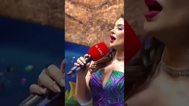 Видео WhatsApp 2025-05-23 в 14.07.03_05cb503a