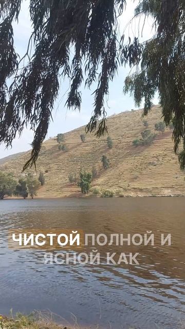 Почему ислам остался чистым и ясным сквозь века. Секрет вечной чистоты ислама!