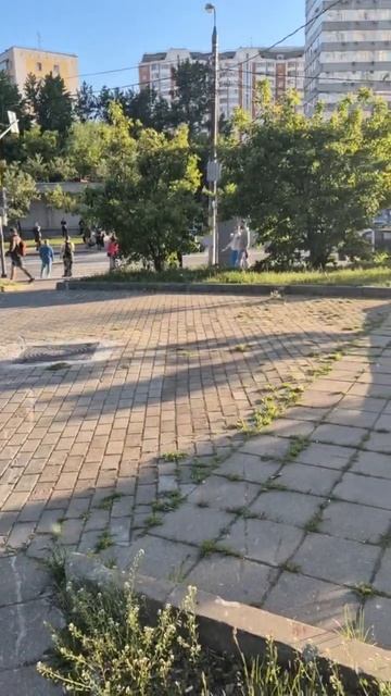 Ученые объяснили нашествие мошек в Москве