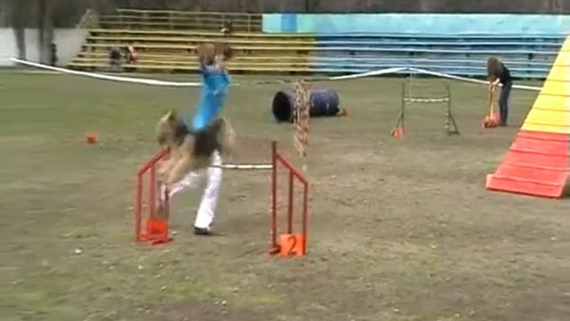 Скородубова Мария и эрдельтерьер Undina Elli-Katarina "Уна".