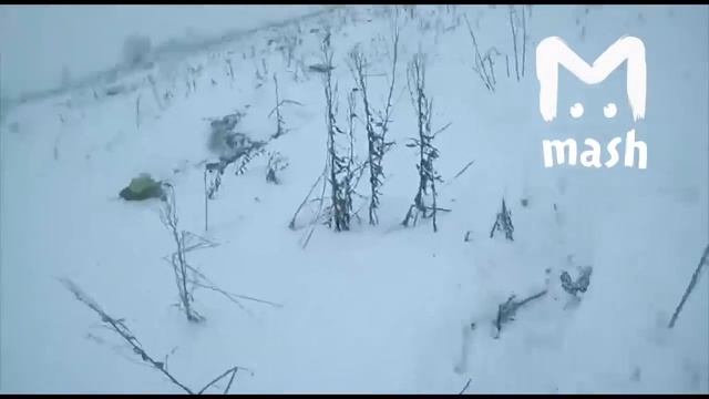Крушение самолета в Подмосковье