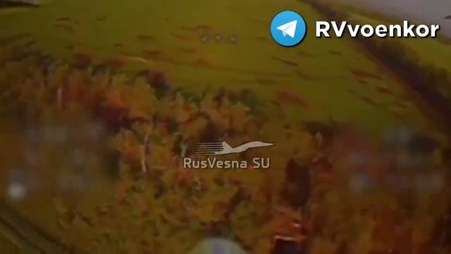 Ожесточённые бои у Покровска: «🅾️тважные» массово жгут НАТОвскую технику, пехоту и артиллерию врага