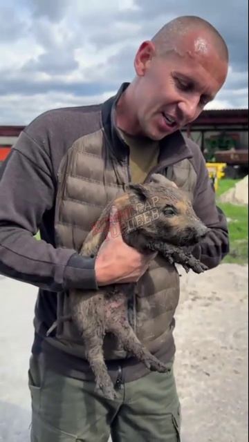 Укропогранцы поймали бандерлога, который бежал с всу