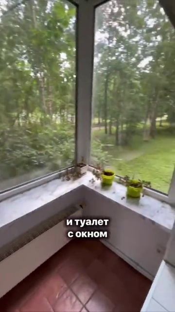 1000059795.mp4